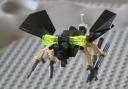 botfly2.jpg