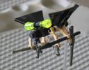 botfly4.jpg