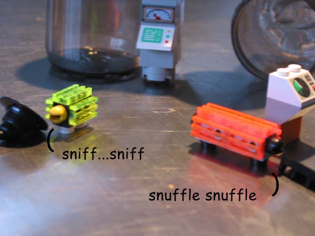 6nowwhat.jpg