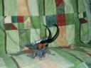 Croach
