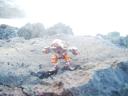 apo-wahirock.jpg