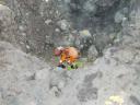 beautifulflowersontherocks.jpg