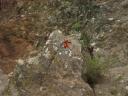 hadtoclimbthere.jpg