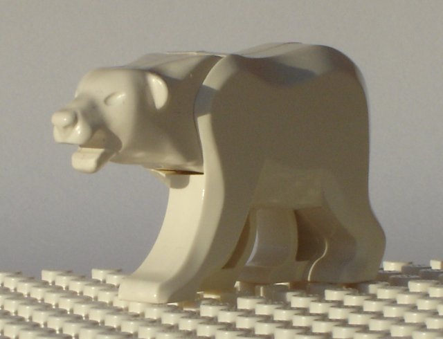 polarbear.jpg