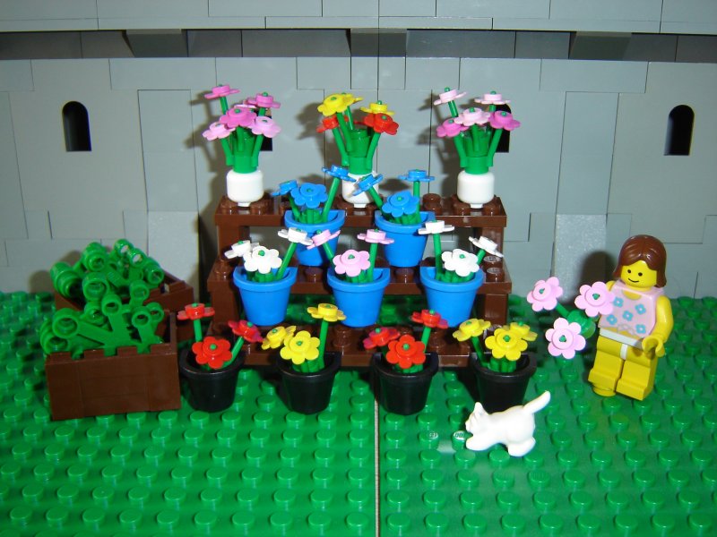 04_flowers.jpg