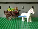 17_cart1.jpg