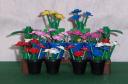 market_stall_flowers_01.jpg