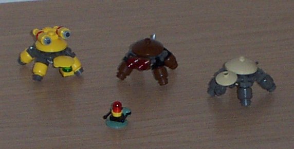 turtles3.jpg