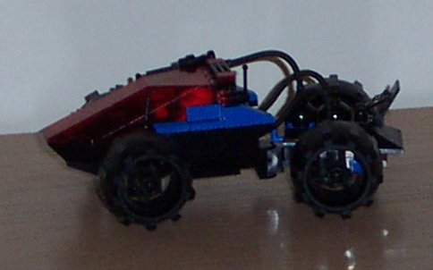 sp11.jpg