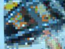 llw-mosaic2.jpg