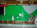 dsc01276.jpg