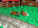dsc01316.jpg