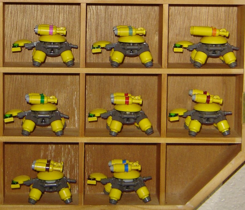 turtles_1.jpg