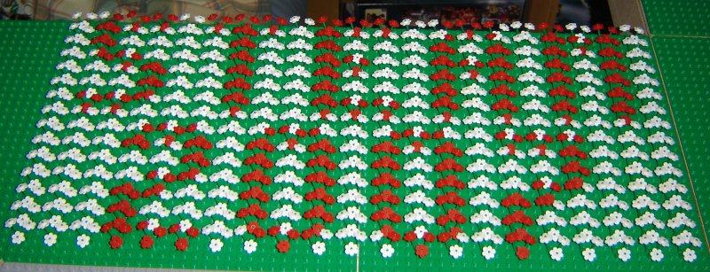 flowers.jpg