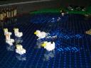 dsc03382.jpg