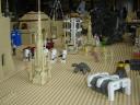 dsc03319.jpg