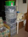 dsc00560.jpg