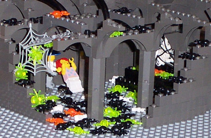 16_spiderfolly.jpg