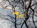 dsc_0028.jpg
