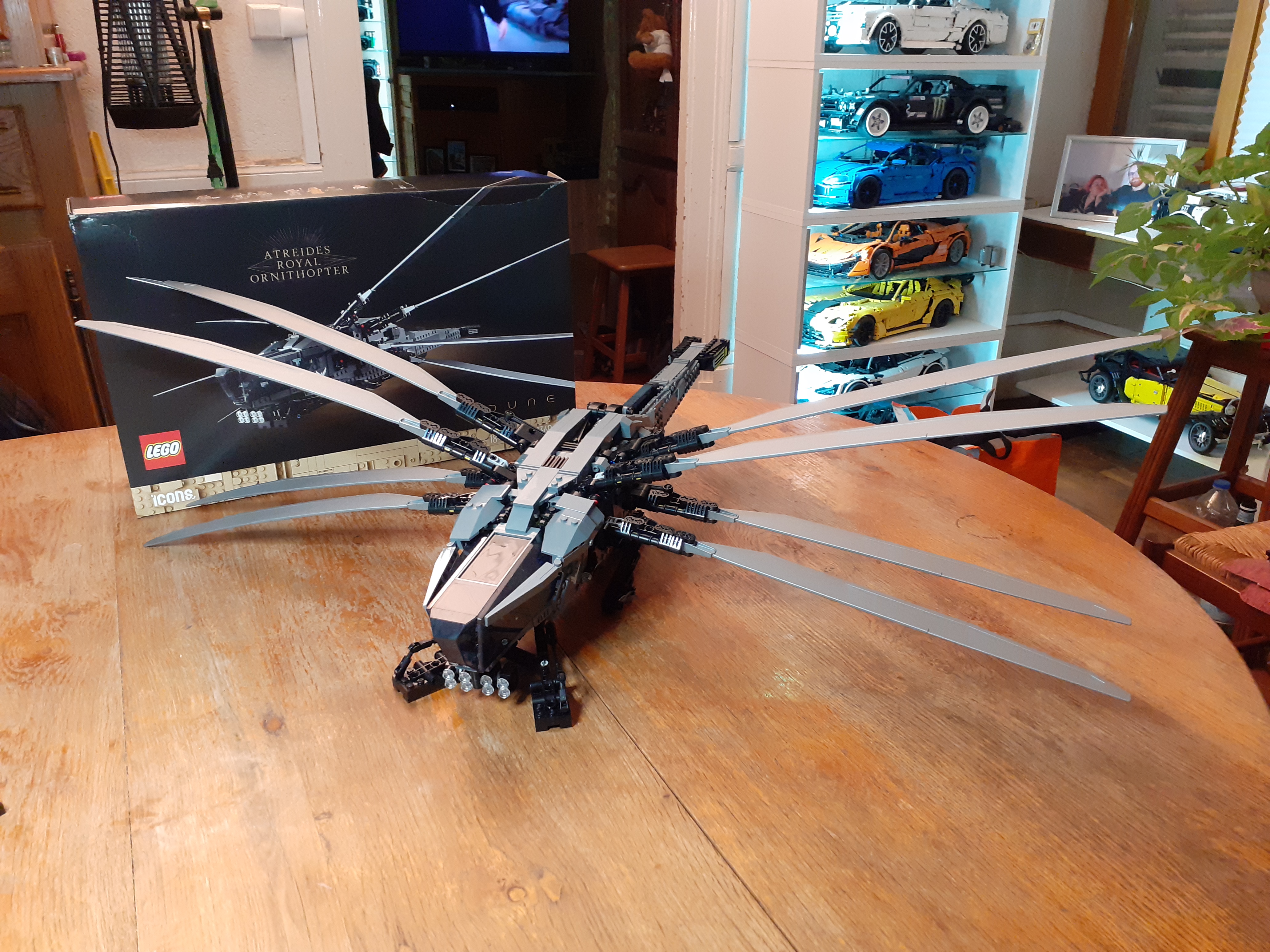 atreide_royal_ornithopter_2.jpg