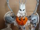 dsc03053.jpg