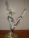 dsc03856.jpg