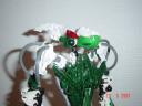 dsc02739.jpg