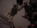 dsc03157.jpg
