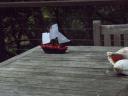 pimped_ship.jpg