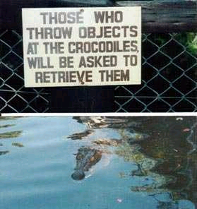 crocodilefunny.bmp