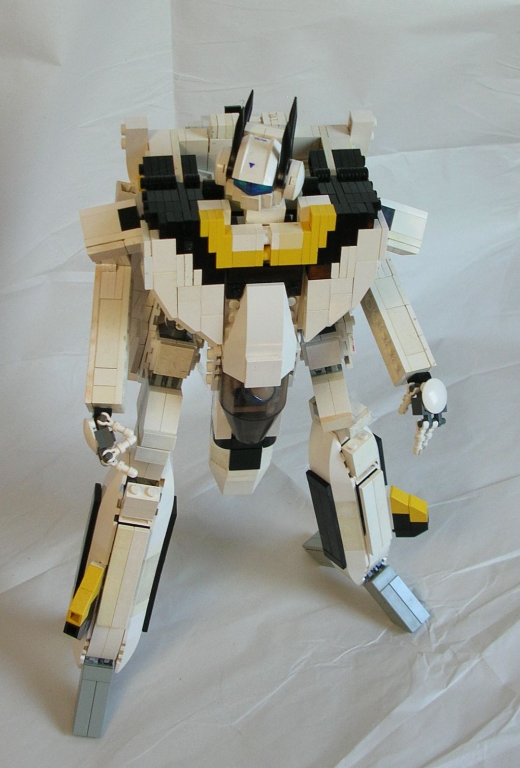 31.jpg