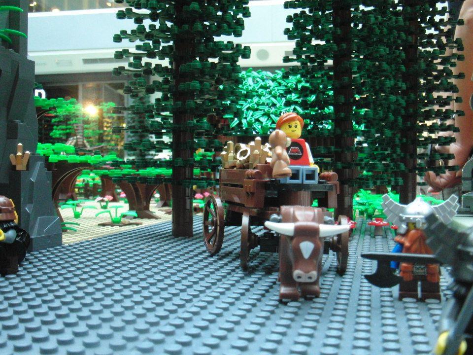 000_3023_520188444677214_67939037_n.jpg