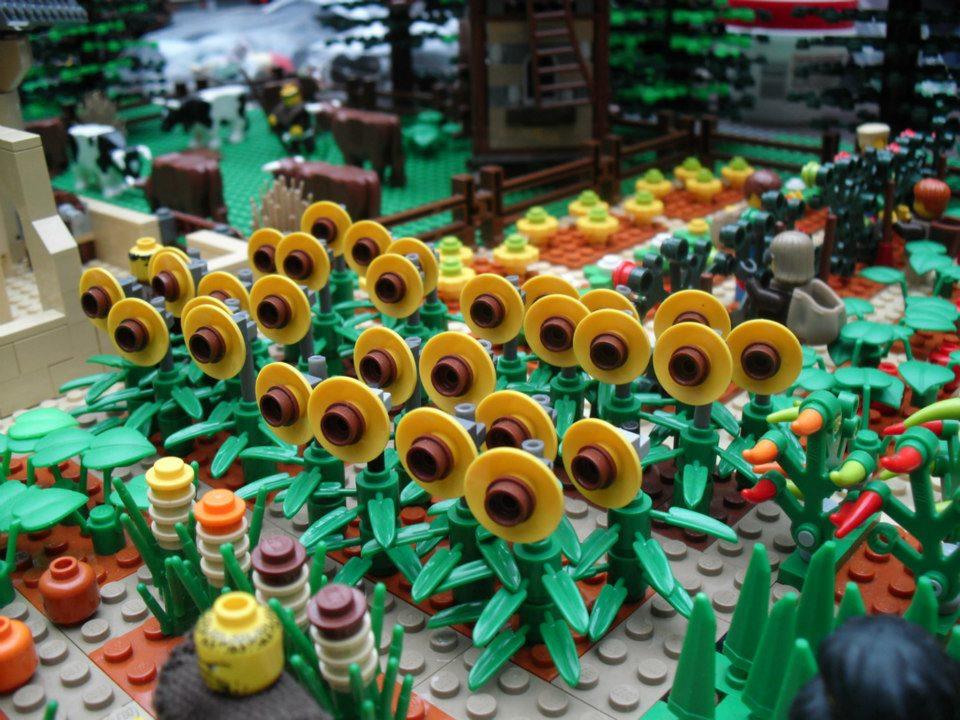 000_530999_527891303906928_352816824_n.jpg