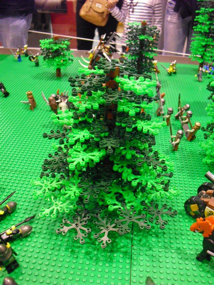 000_60760_519503271412398_128287896_n.jpg