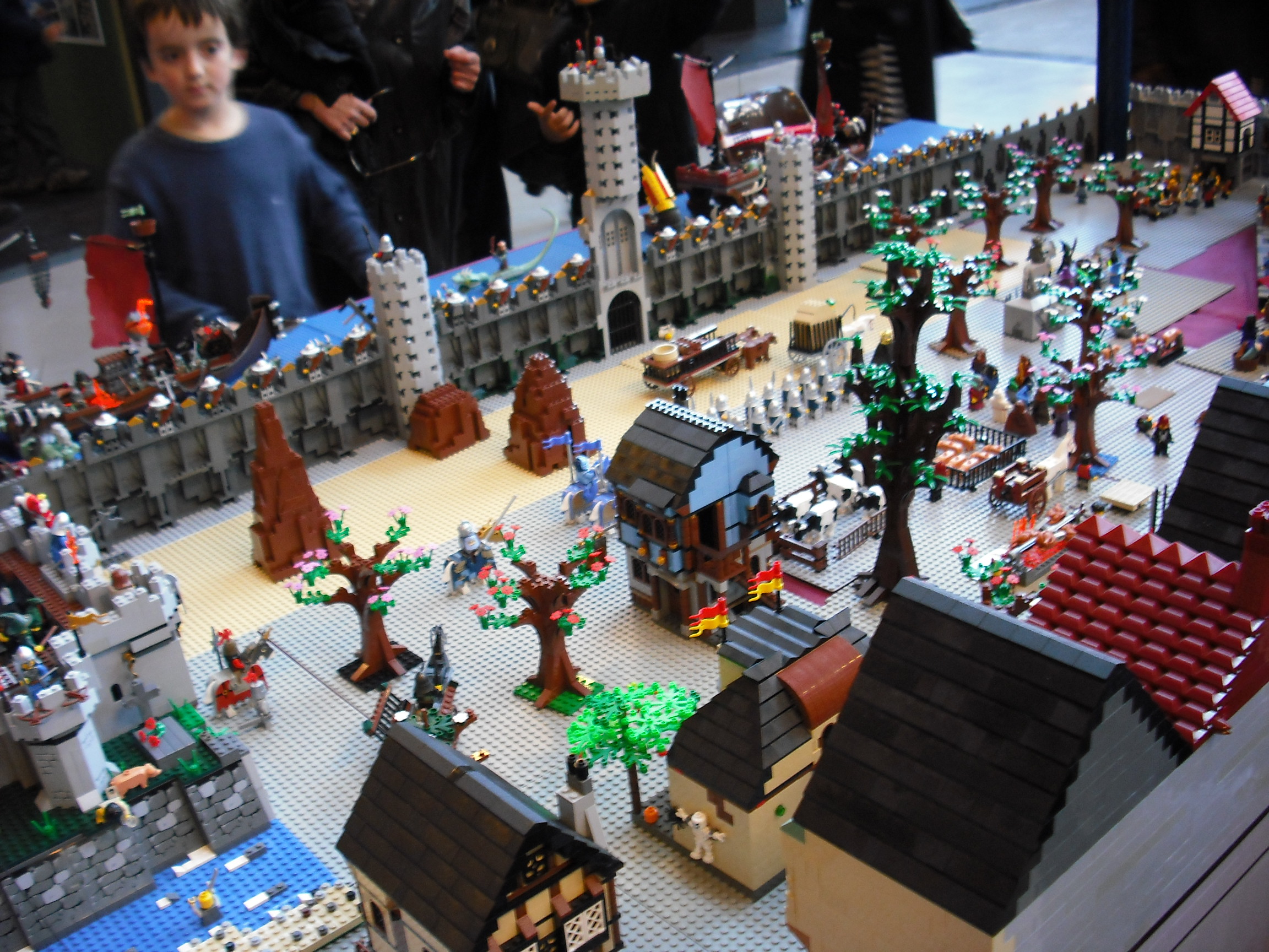 dscf5817.jpg