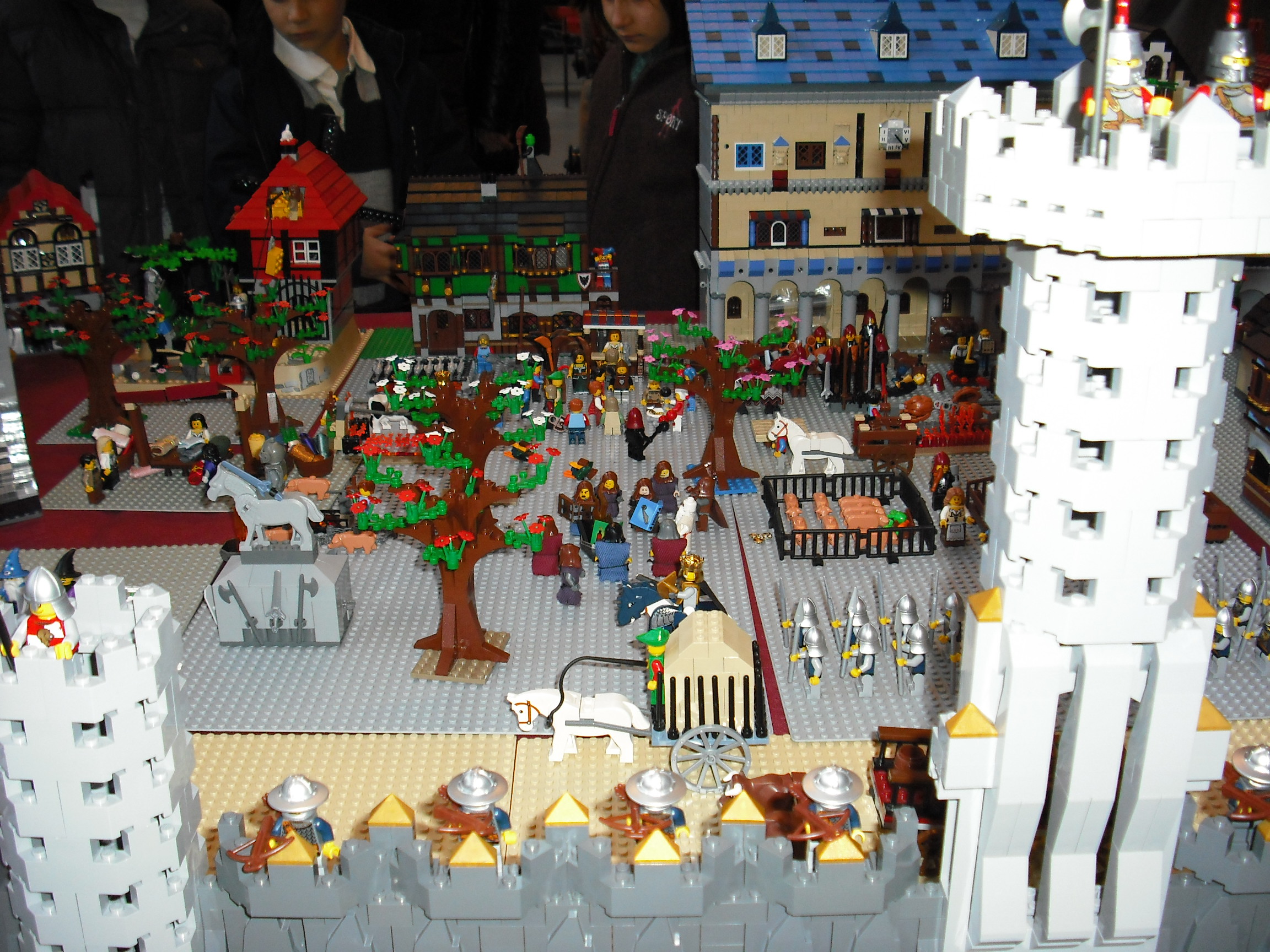 dscf5831.jpg