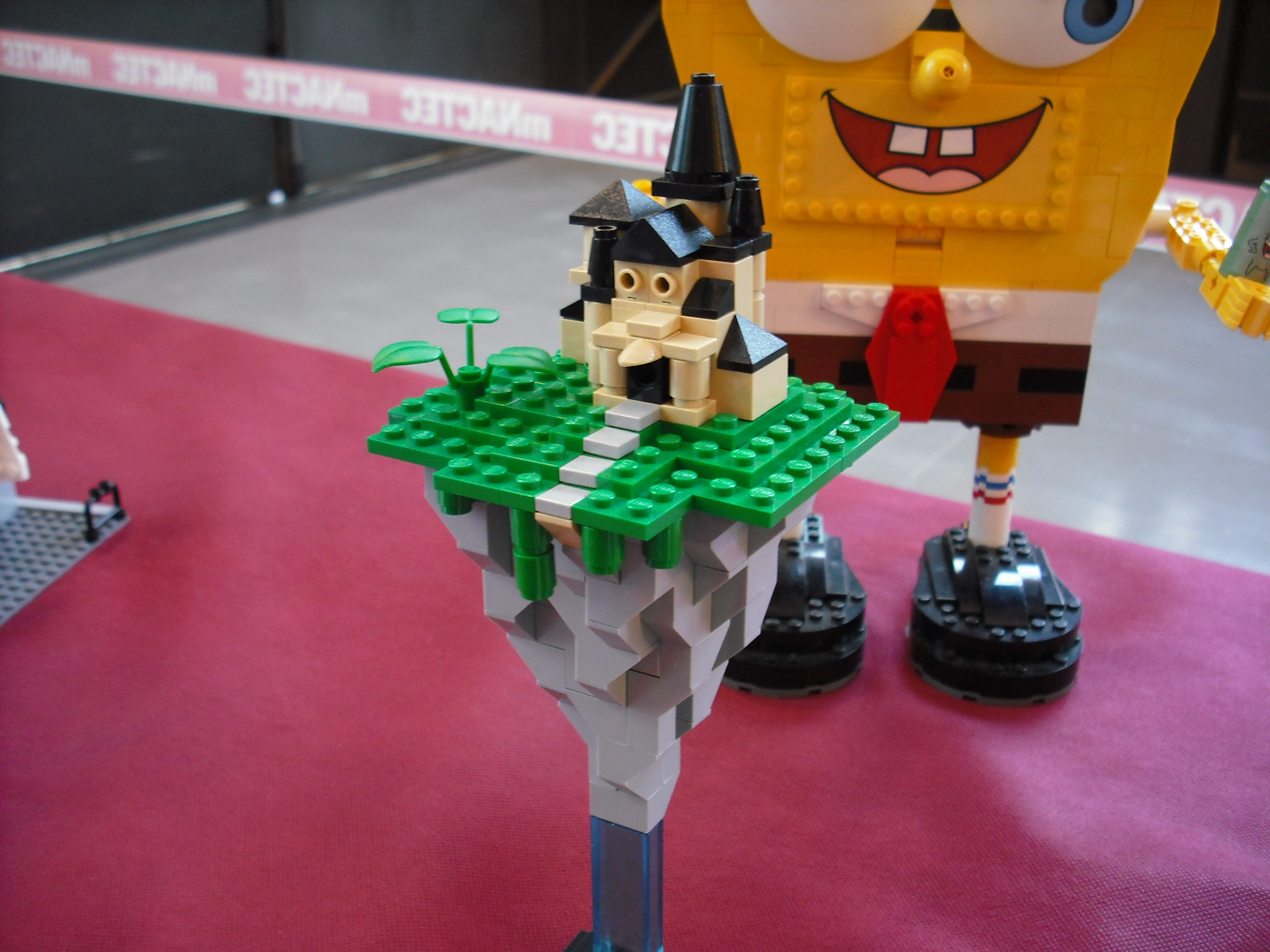 dscf5851.jpg