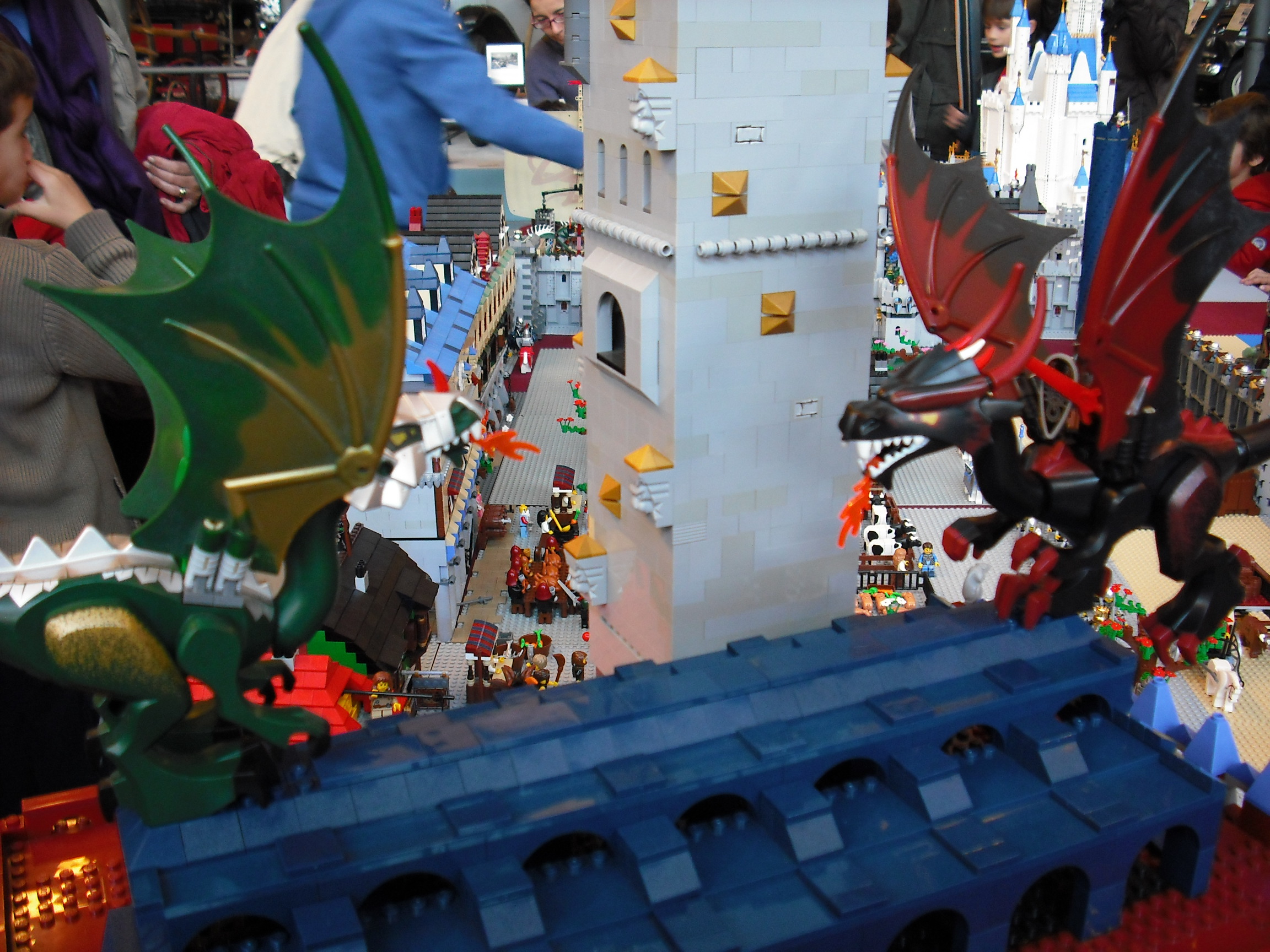 dscf5865.jpg