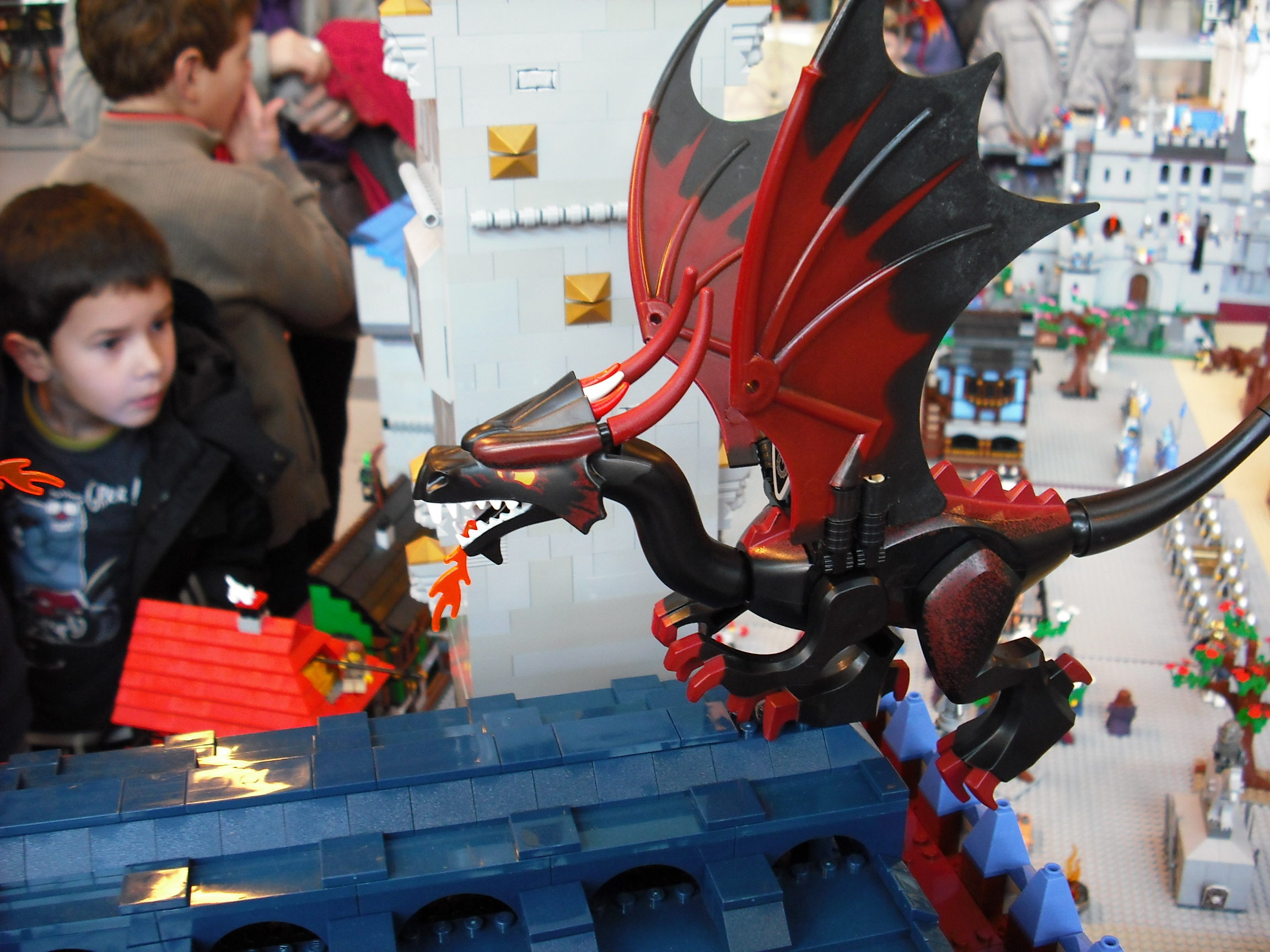 dscf5866.jpg