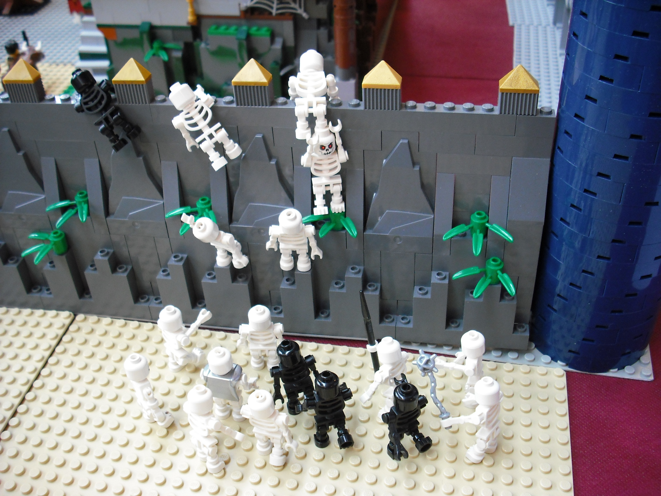 dscf6060.jpg