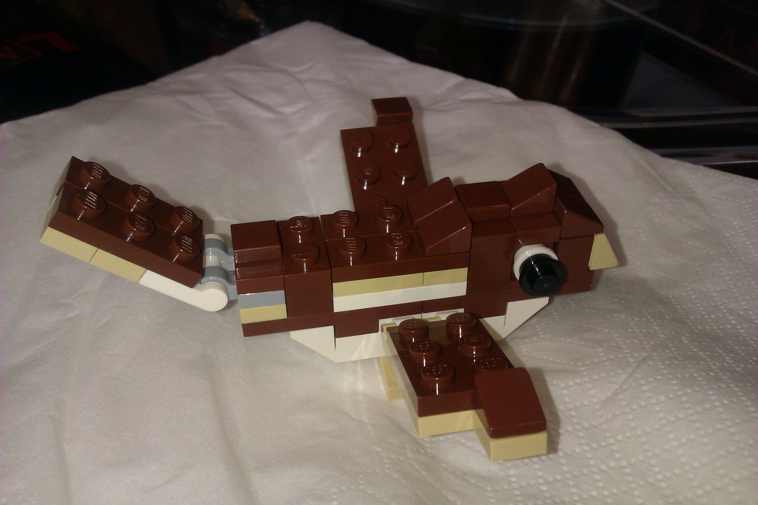 imag0060.jpg