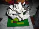 nenufar002.jpg