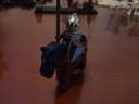 wolfking23_7092_007.jpg