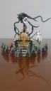 wolfking23_8061_0036.jpg