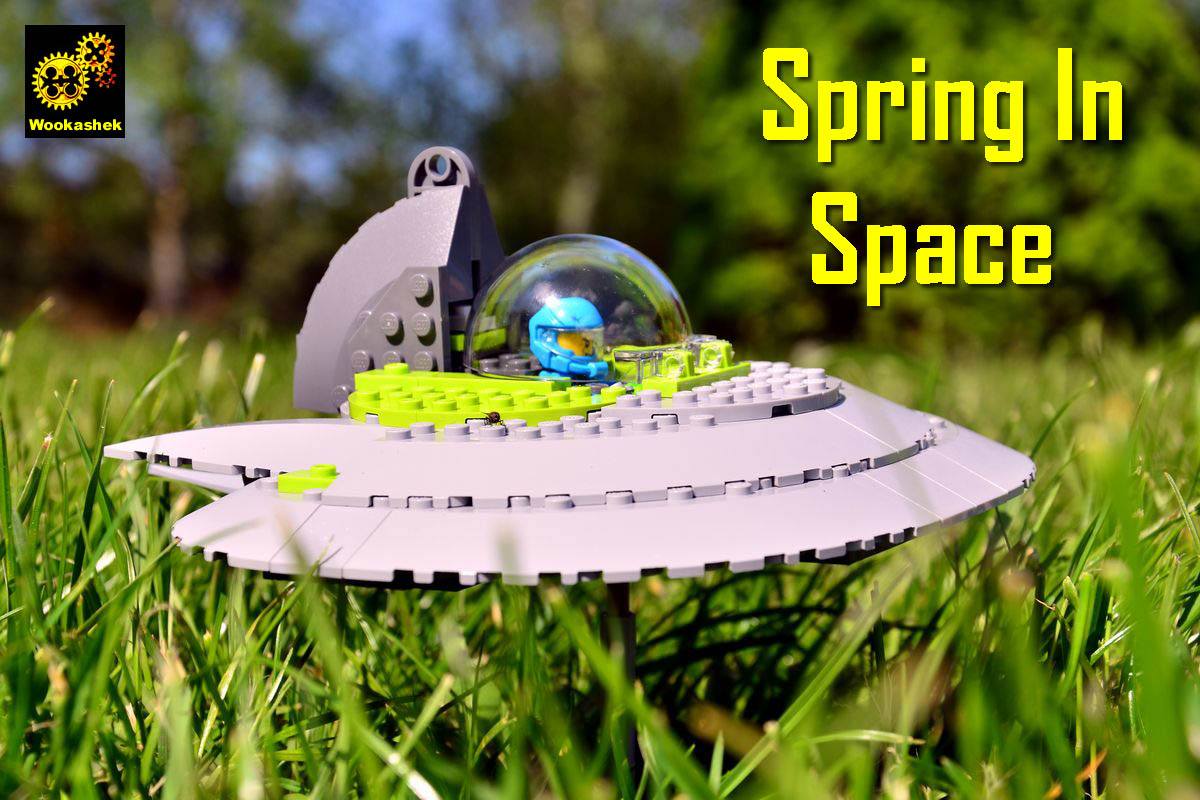 springinspace_01.jpg