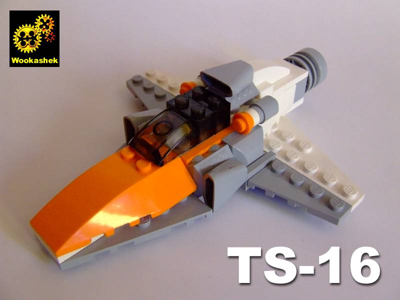 ts-16_01.jpg