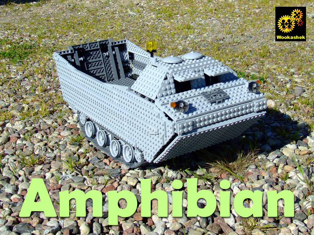 amphibian01.jpg