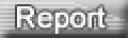 report.gif