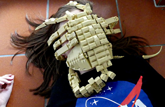face9.jpg