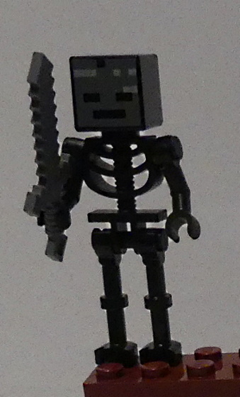 mc24.jpg